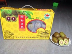 兴隆丰 精品红心猕猴桃 水果 兴隆丰 精品红心猕猴桃 水果